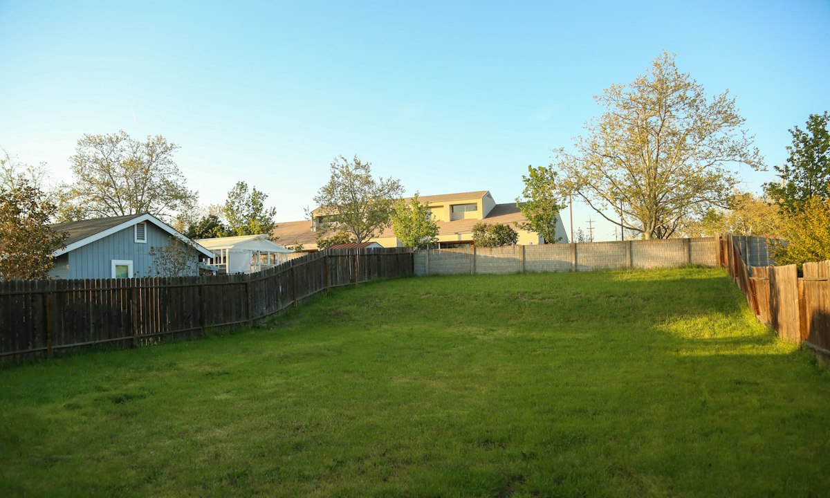 Large fenced backyard lawn in a Denver-area neighborhood – yard size affects dog poop removal service cost in Denver